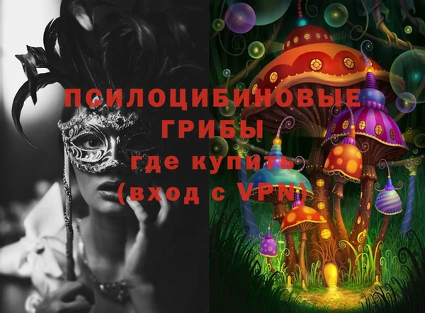 ПСИЛОЦИБИНОВЫЕ ГРИБЫ Абдулино